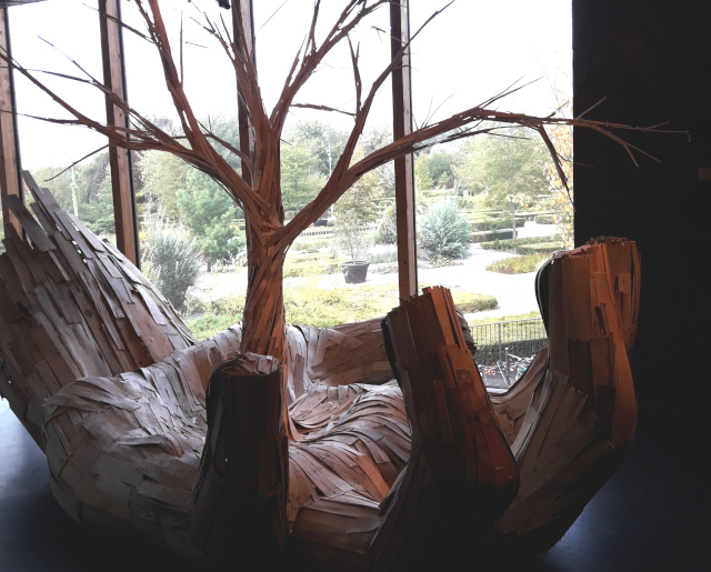 photo main arbremodification3