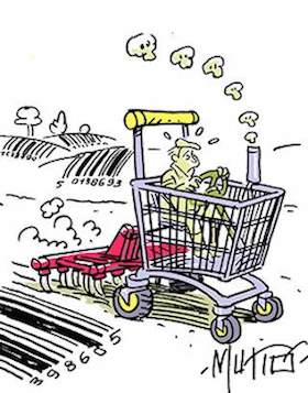 La Musique du discount