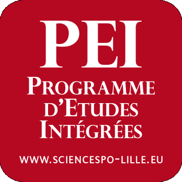 Logo PEI 360