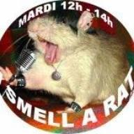 I smell a rat